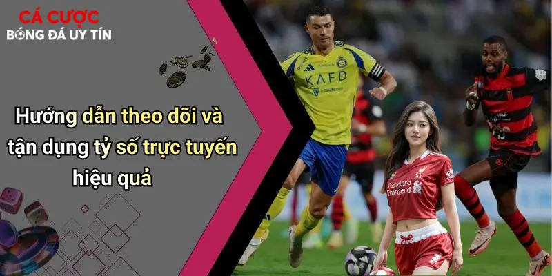 Hướng dẫn theo dõi và tận dụng tỷ số trực tuyến hiệu quả