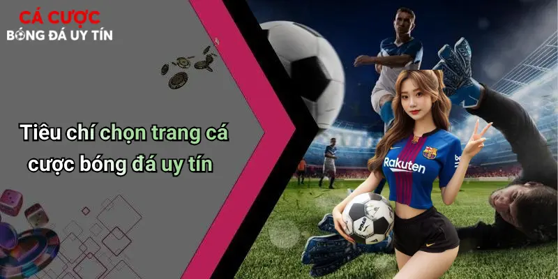 Cá Cược Bóng Đá: Hướng Dẫn Chơi Và Kinh Nghiệm Lựa Chọn Nhà Cái 68 Tiêu chí chọn trang cá cược bóng đá uy tín