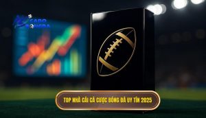 top nhà cái cá cược bóng đá uy tín 2025
