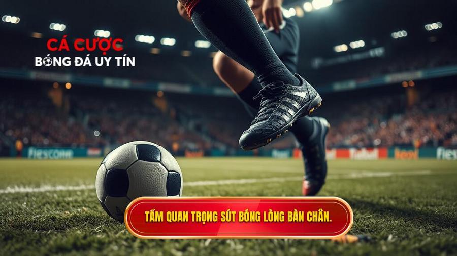 Kỹ thuật sút bóng bằng lòng bàn chân phải chuẩn từ chuyên gia 1 Tại sao kỹ thuật sút bóng bằng lòng bàn chân phải lại quan trọng?