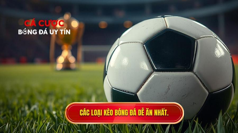Kèo bóng đá nào dễ ăn nhất hiện nay? Cẩm nang soi kèo bách chiến bách thắng 2 Top những loại kèo bóng đá dễ ăn nhất hiện nay dành cho người mới