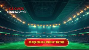 Top website soi kèo bóng đá uy tín nhất 2026: Lựa chọn thông minh cho bet thủ