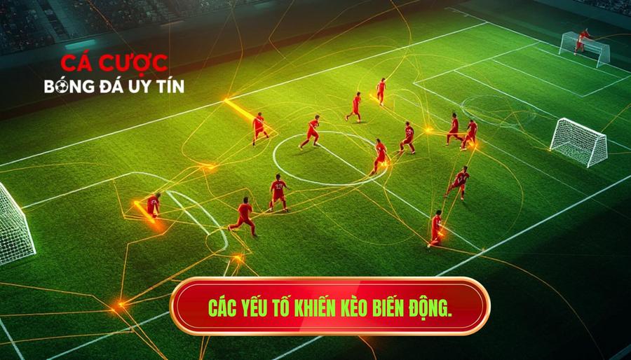 Các yếu tố khiến kèo biến động.