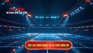 Kèo Live Bắt Đầu Rung Mạnh: Bí Quyết Đọc Vị Và Về Bờ An Toàn