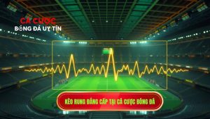 Kèo Rung Mạnh Theo Từng Phút: Bí Quyết Đánh Bại Nhà Cái 2024