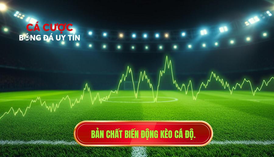 Vì sao kèo thay đổi sát giờ thi đấu? Phân tích chuyên sâu từ góc nhìn nhà cái 1 1. Bản chất biến động kèo cá độ.