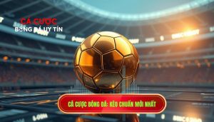 Kèo nào phù hợp cho người mới? Cẩm nang chọn kèo thông minh từ chuyên gia